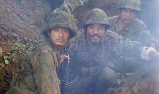 自卫反击战电影大全 自卫反击战电影大全